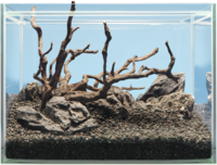 sera Hardscape Shrimp