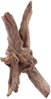 sera Drift Wood