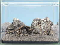 sera Hardscape Asia