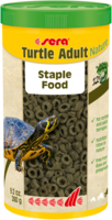 sera Turtle Adult Nature