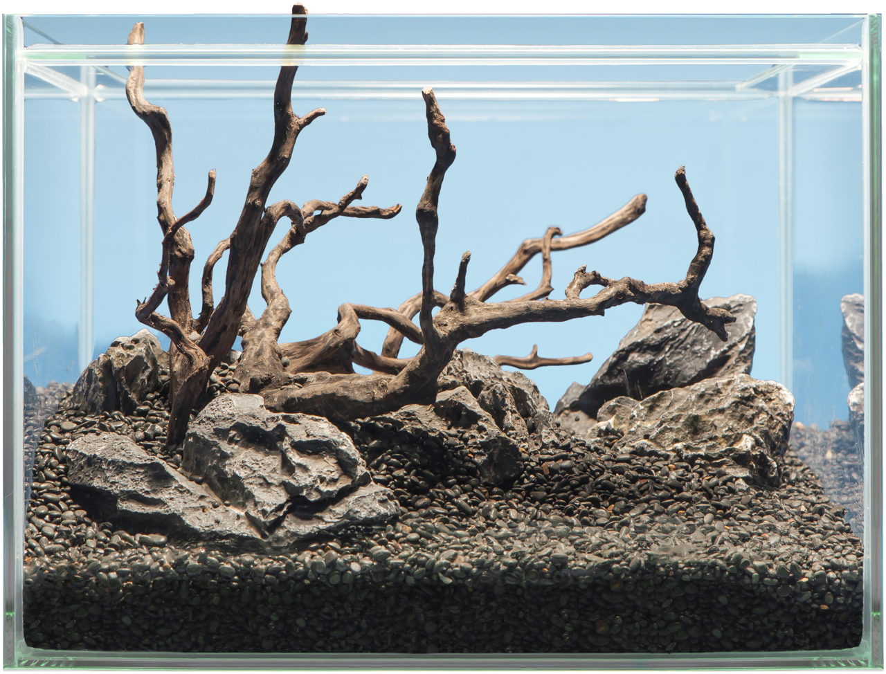 Sera - Racine Scaper Root pour Aquarium - S