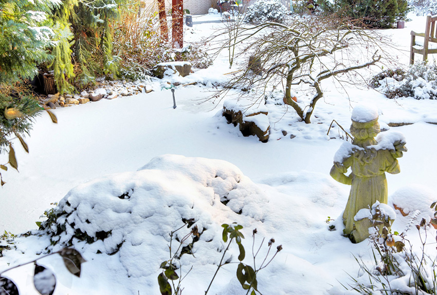 Teich im Winter