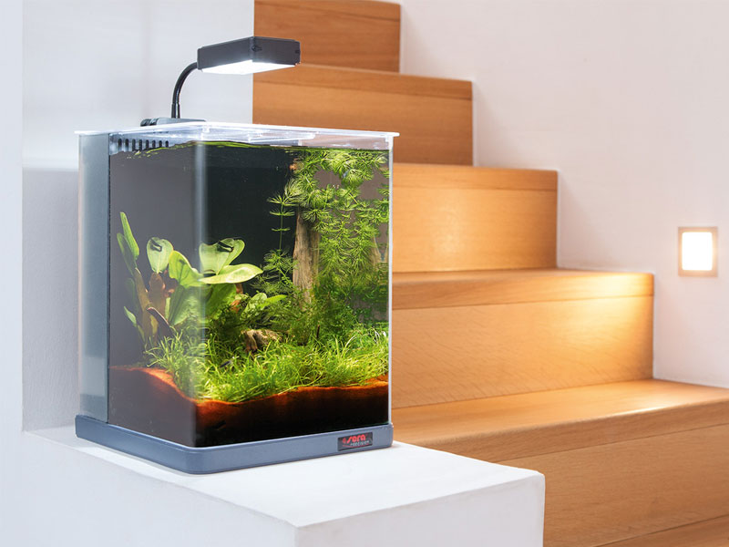 [] Aquarium im Wohnzimmer